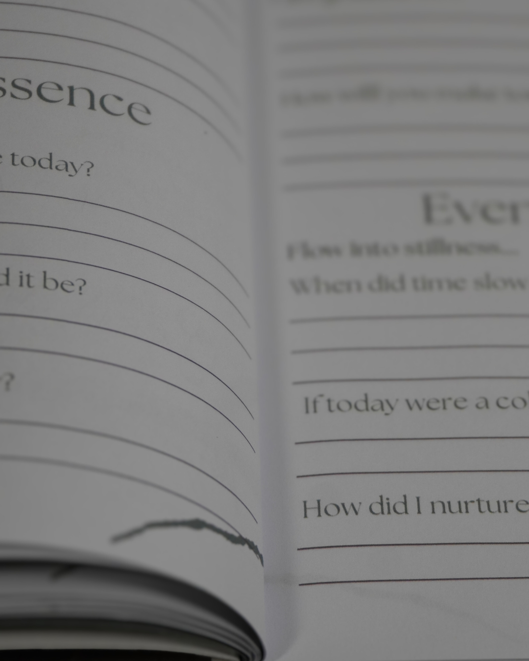 It All Starts With You | Morning & Evening Journal