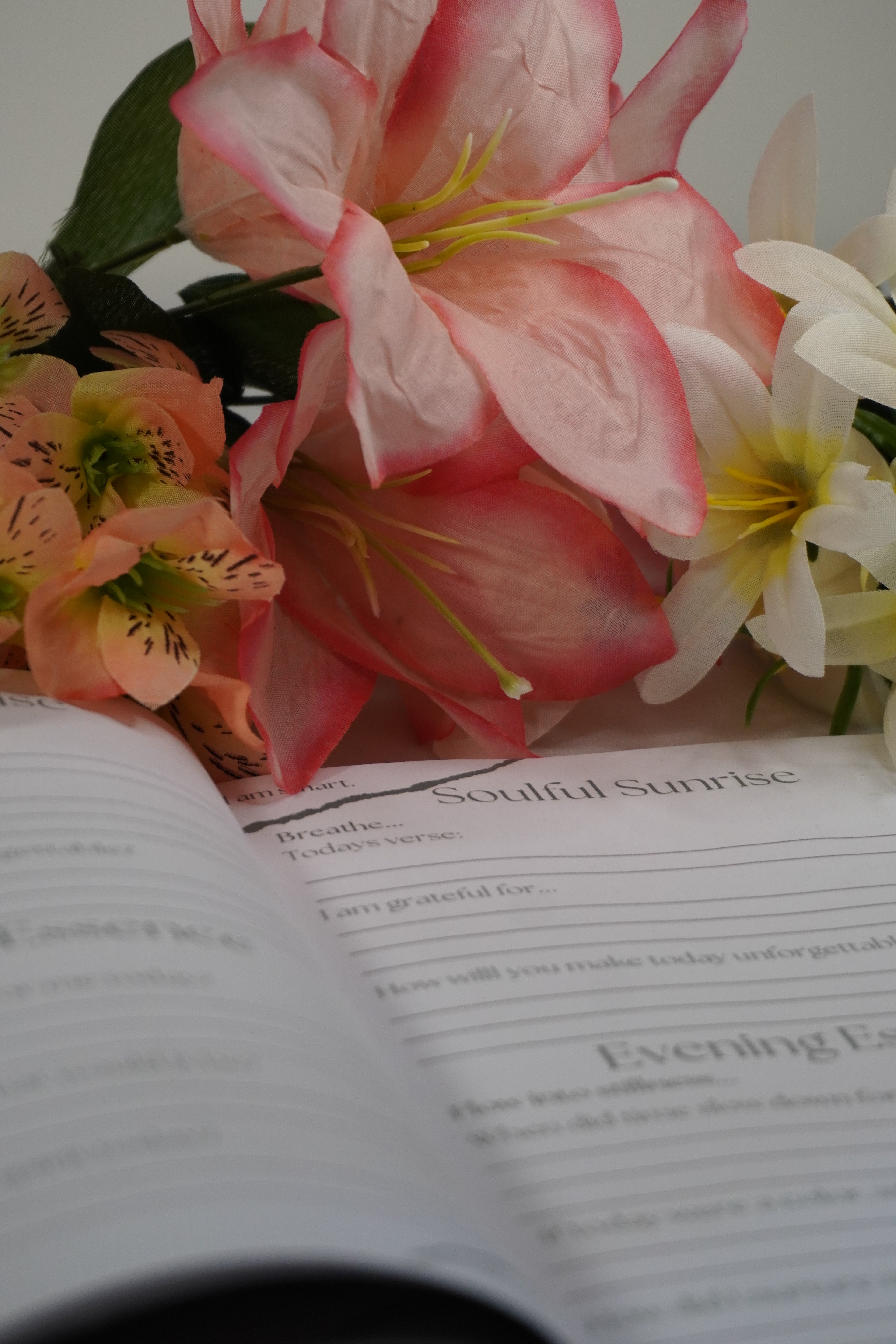It All Starts With You | Morning & Evening Journal
